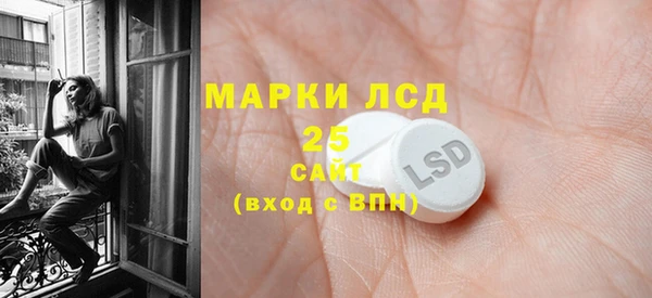 дживик Бородино