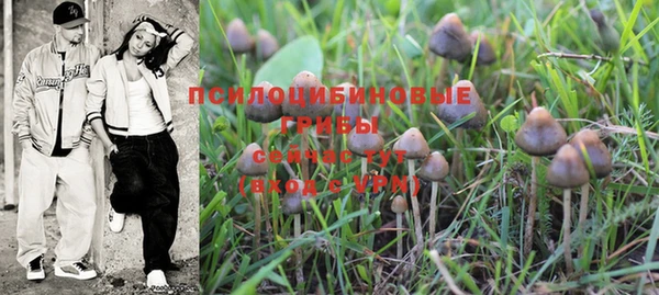 дживик Бородино