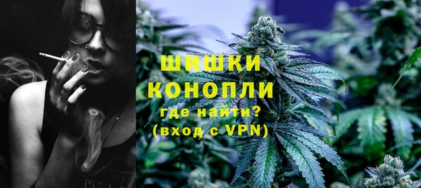 дживик Бородино