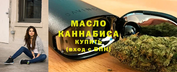дживик Бородино