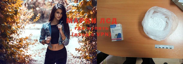 дживик Бородино