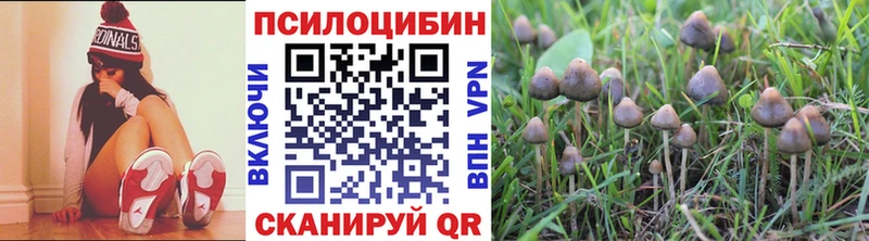 Псилоцибиновые грибы ЛСД  Кириллов 